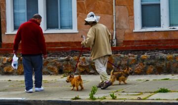 walking dogs.jpg
